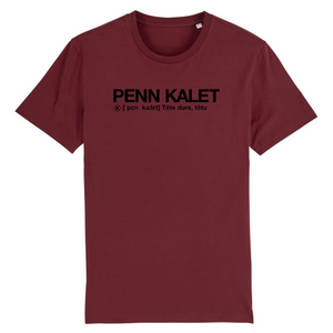 Penn Kalet T-shirt Homme (Têtu) - Noir
