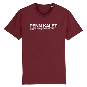 Penn Kalet T-shirt Homme (Têtu) - Blanc